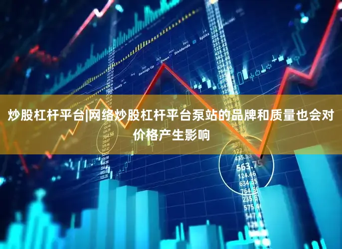 炒股杠杆平台|网络炒股杠杆平台泵站的品牌和质量也会对价格产生影响