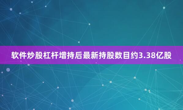 软件炒股杠杆增持后最新持股数目约3.38亿股