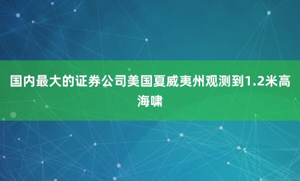 国内最大的证券公司美国夏威夷州观测到1.2米高海啸